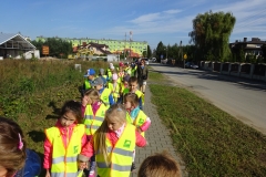 ogródki1