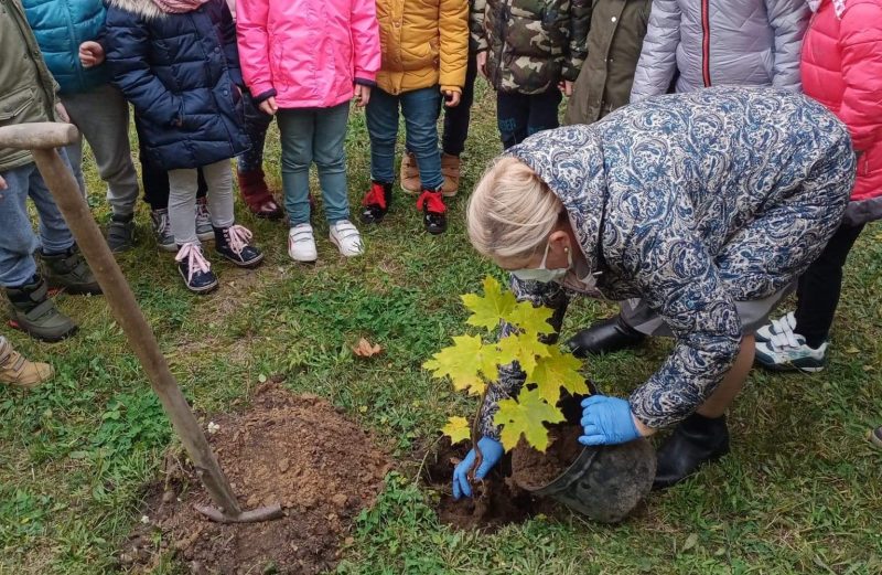 Drzewko dla Niepodległej 