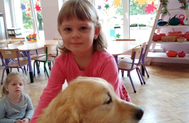 Światowy Dzień Zwierząt w przedszkolu