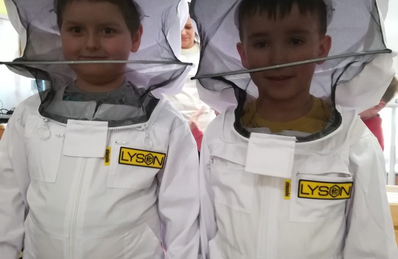 Warsztaty Pszczelarskie w przedszkolu