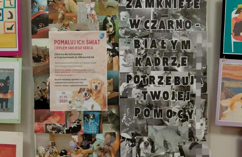 Plakaty pełne kolorów, emocji i dziecięcej szczerości w ramach projektu „Zabawa sztuką”